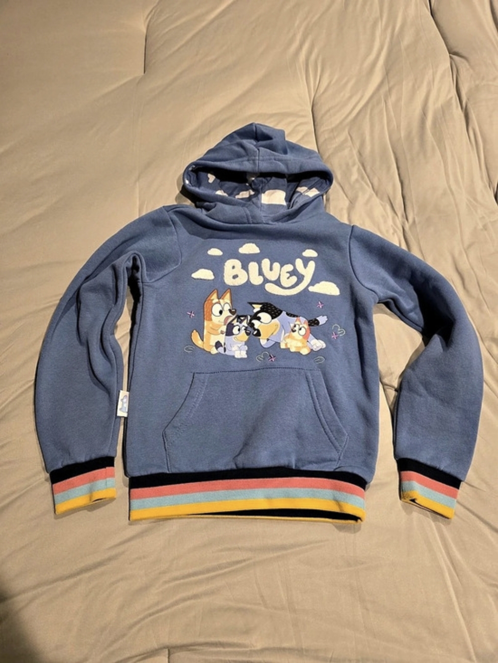 Bluey Character French Terry Hoodie Kids Blue